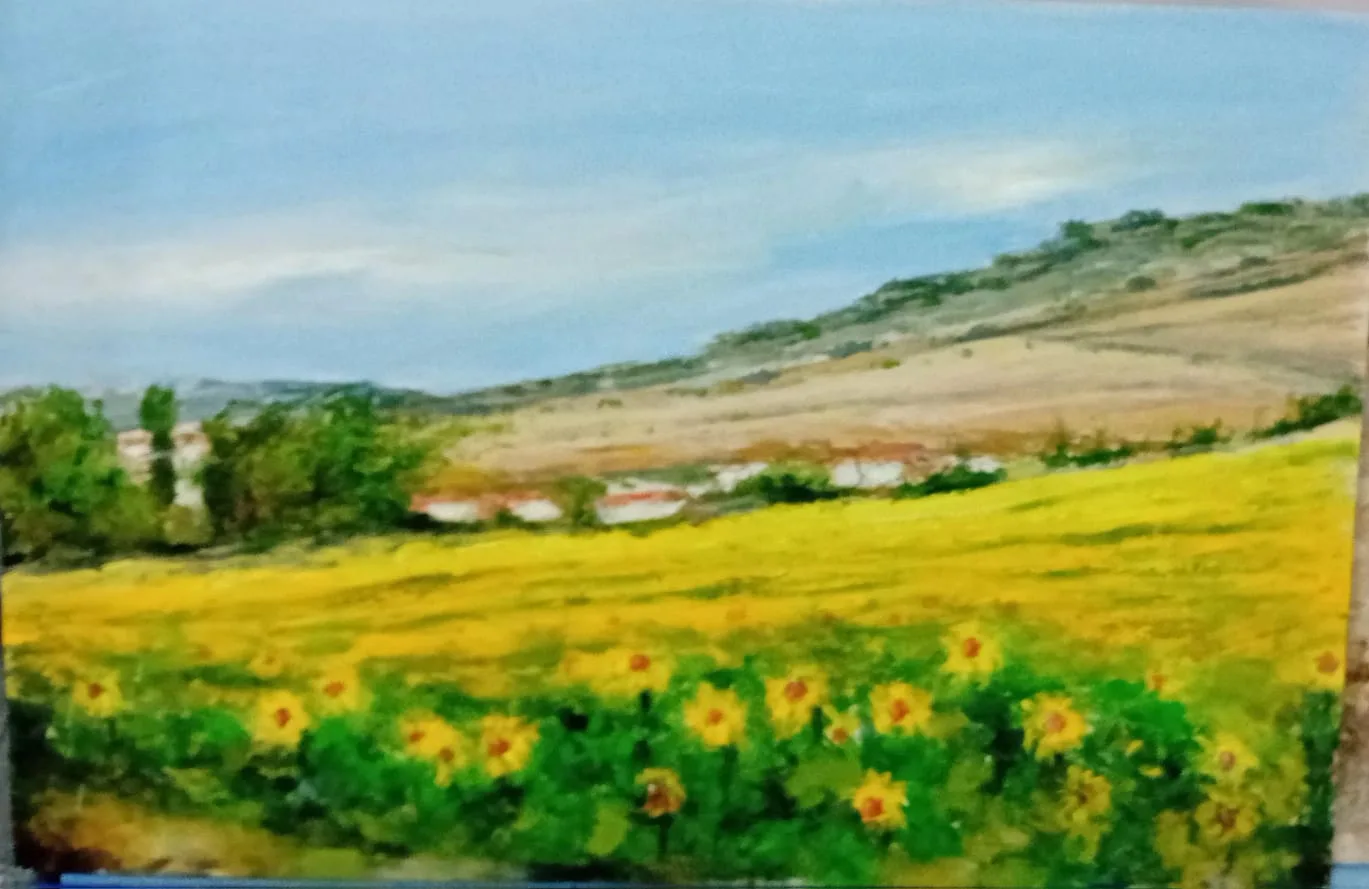 Tienda Casa del Arte - Fotografía 5