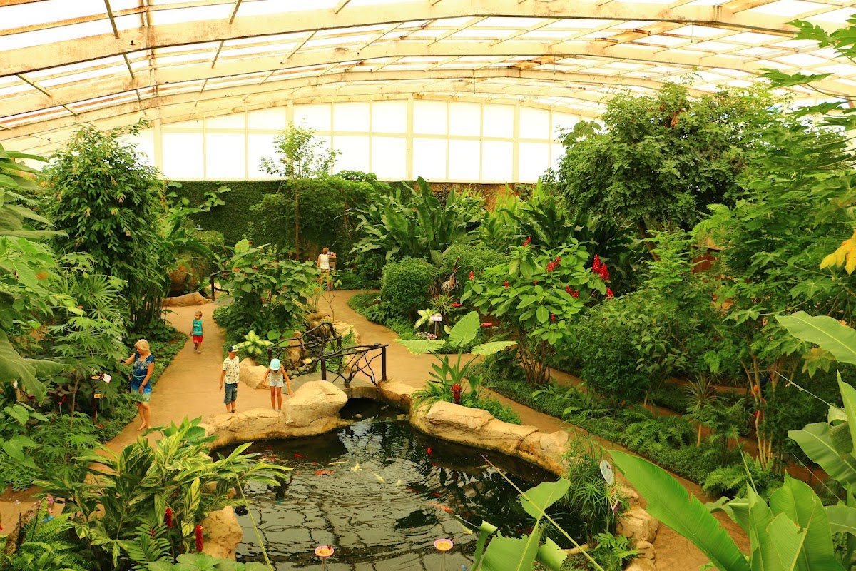Monowa - Butterfly Park in Benalmádena