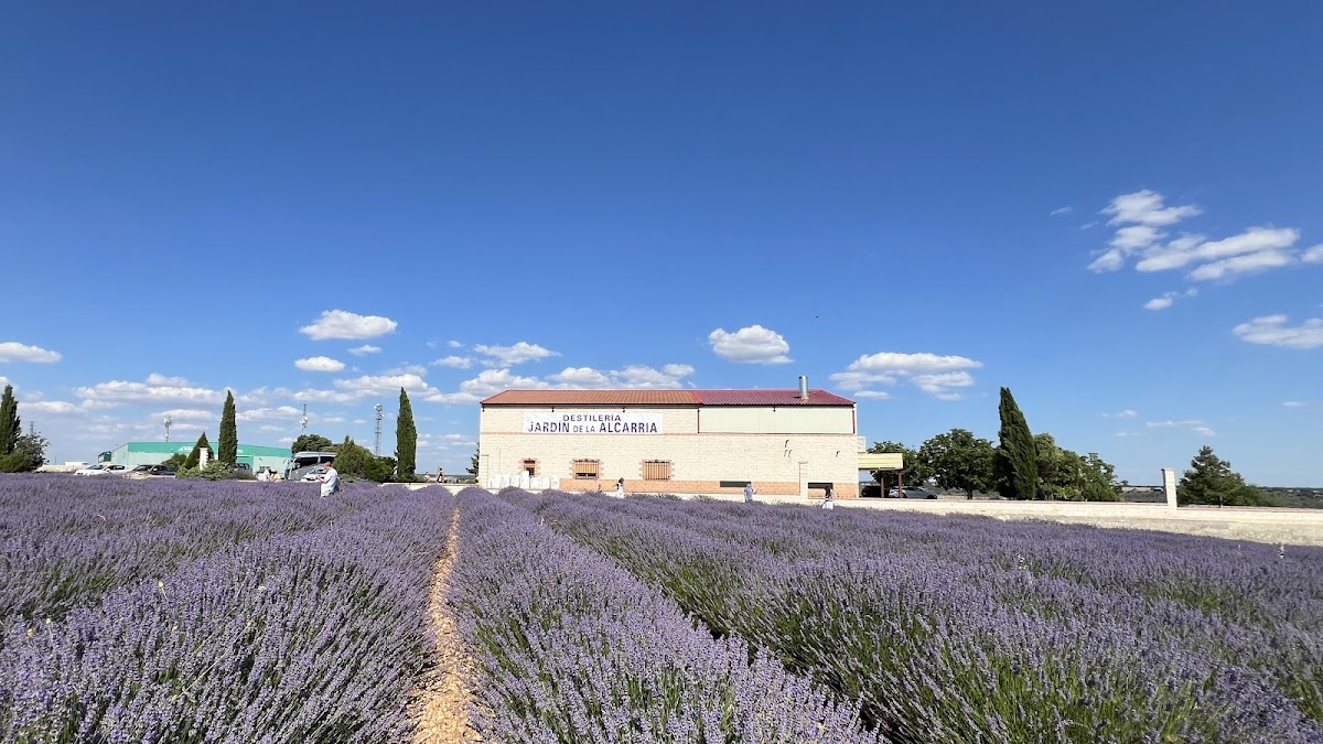 Destilería Jardín de la Alcarria