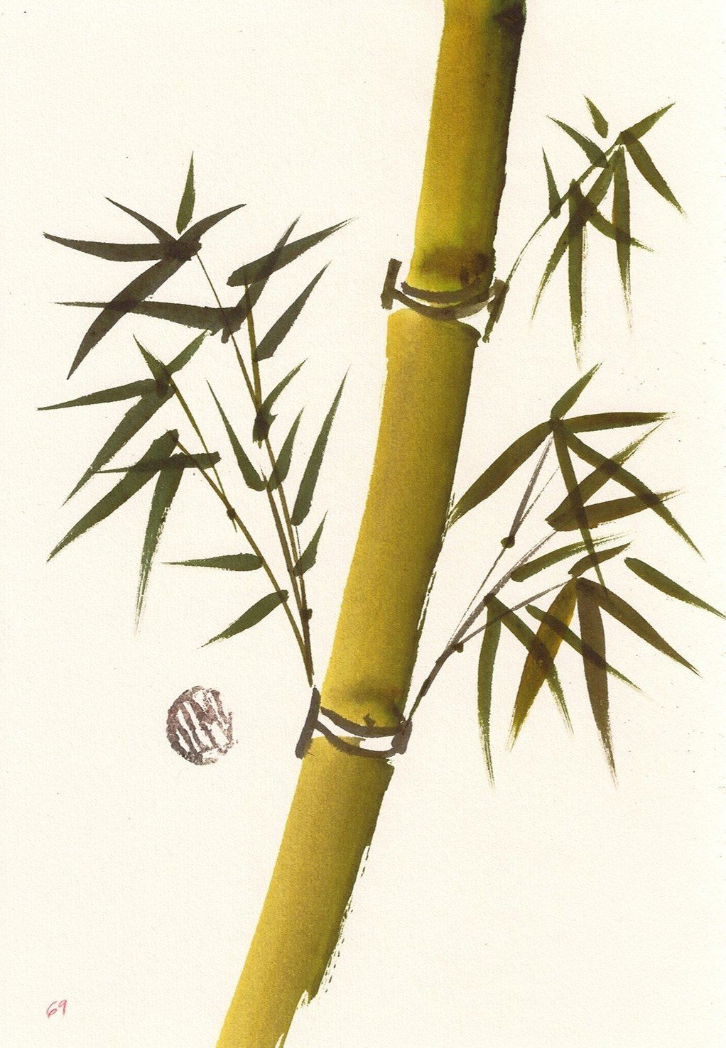 BAMBUSA ARUNDINÁCEA